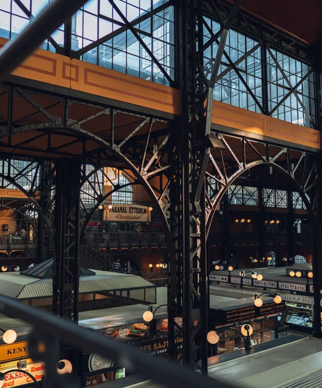 anton-shakirov-k6pXI12U9ek-unsplash anton-shakirov-k6pXI12U9ek-unsplash